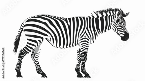 Zebra black and white vector illustration flat vector