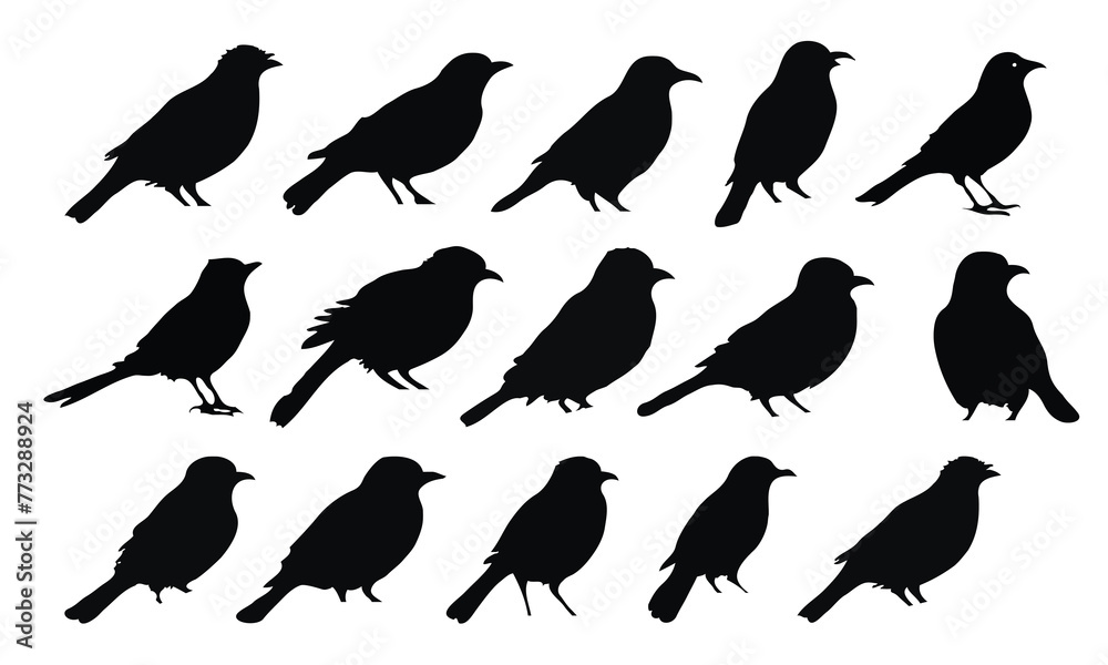Obraz premium Set of black bird silhouettes. Vector elements for design