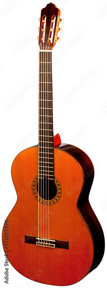 Obraz premium Classical Spanish flamenco guitar close up, dramatically lit isolated on white background with copy space.