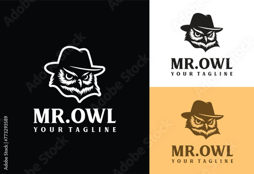 logo illustration of an owl head wearing a cowboy hat photo
