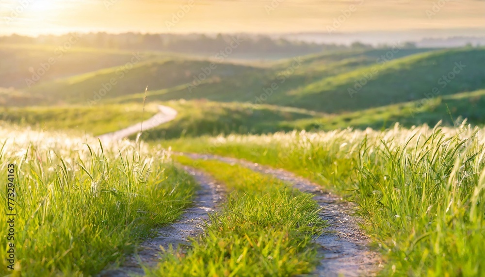 Scenic winding path through a field of green grass in the morning Scenic winding path through a field of green grass in the morning