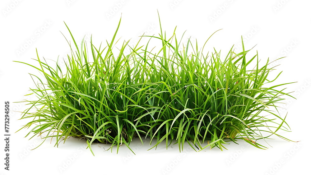 green grass on white background. generative ai green grass on white background. generative ai