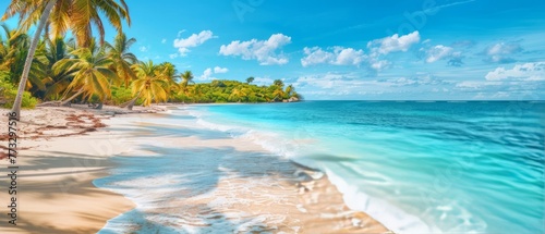 Sunny tropical Caribbean beach with palm trees and turquoise water  caribbean island vacation  hot summer day