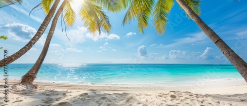 Sunny tropical Caribbean beach with palm trees and turquoise water, caribbean island vacation, hot summer day © Artem