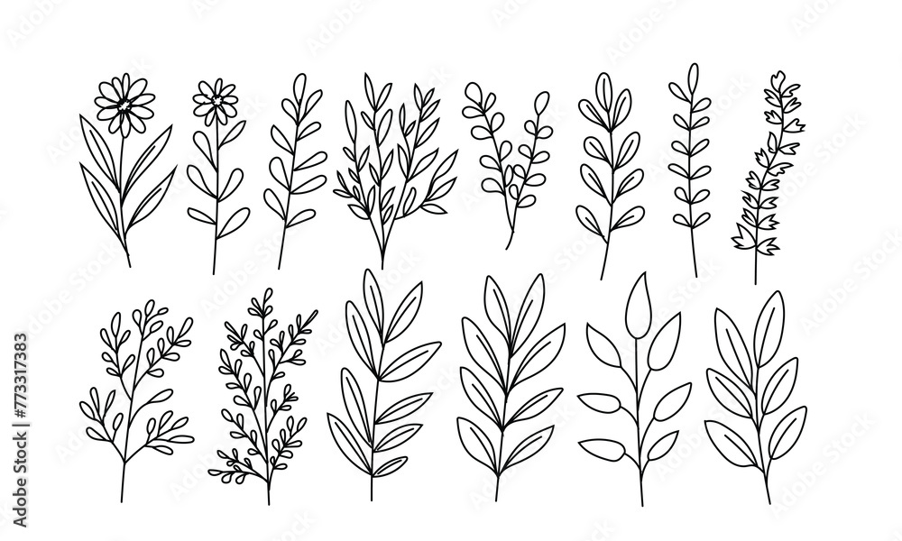 Set of hand-drawn doodles of wild flowers and plants