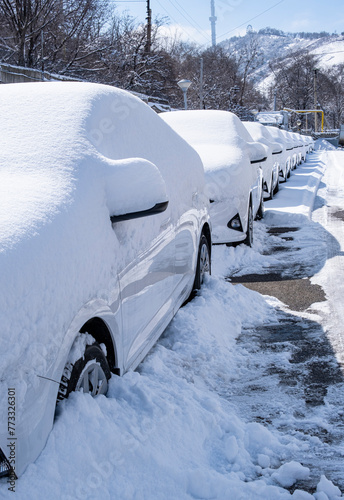 Row of new cars in a dealer's parking lot.