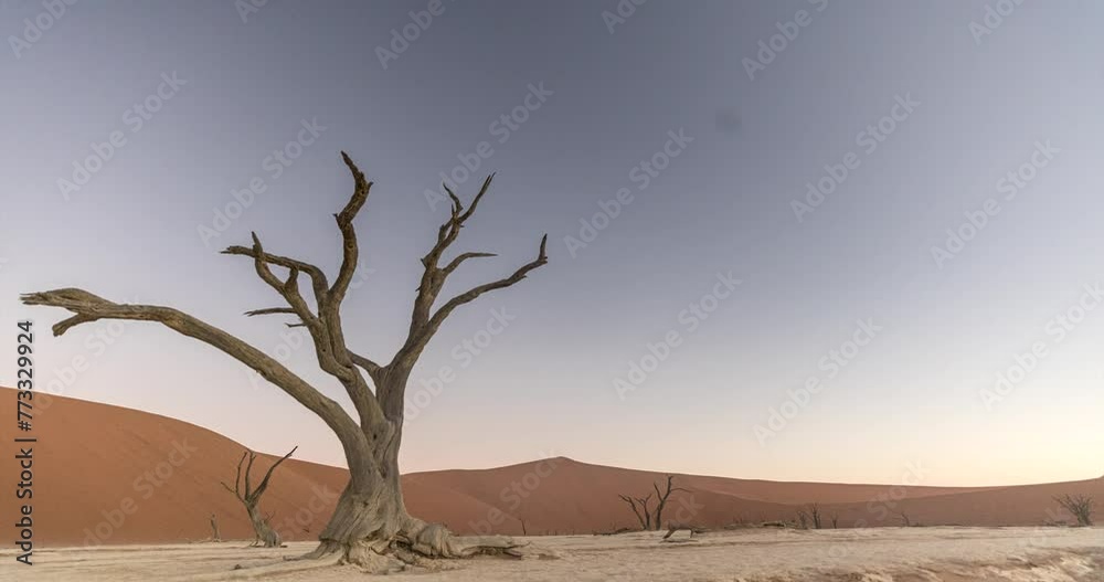 Time-lapse video of a dead tree in Deathvlei in front of red dunes during sunset Time-lapse video of a dead tree in Deathvlei in front of red dunes during sunset