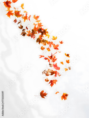 Autumn Elegance: Capturing the Falling Leaves of the Season in Warm Tones