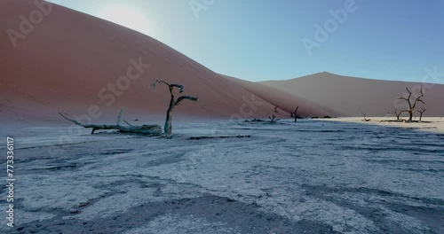 Video pan over the salt pan of Deathvlei in the Namib Desert with dead trees during sunrise photo