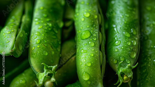 Zbliżenie na zielone strączki groszku © Kumulugma