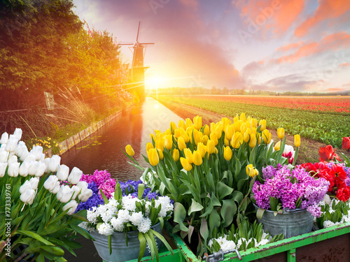 A picturesque natural landscape of a field of colorful flowers with a charming windmill in the background, under a sky filled with fluffy clouds on a peaceful morning