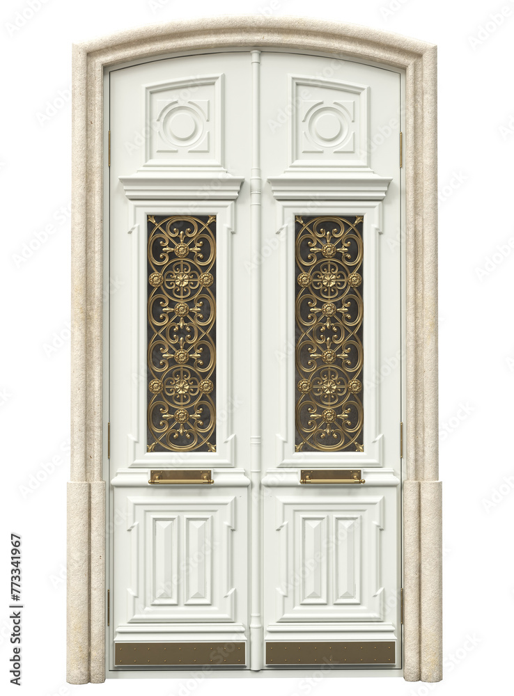 Entrance classic doors for the house