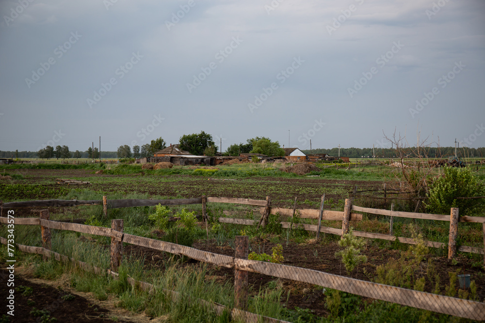 Abandoned farm in the countryside in Latvia. Rural landscape in summer Abandoned farm in the countryside in Latvia. Rural landscape in summer