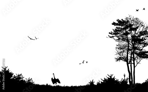 Nature scenary silhouette vector background cover poster wallpaper birds trees beautiful nature scene illustration