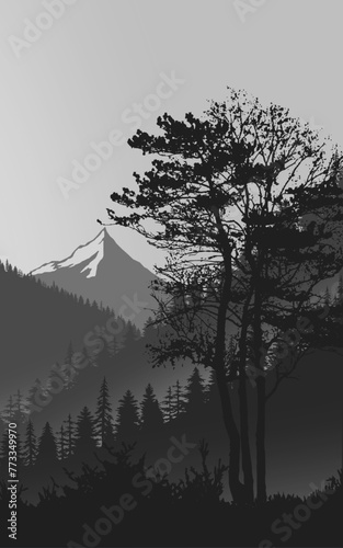 black and white Forest woods jungle portrait silhouette landscape mountain scenary book cover wall artwork poster wallpaper trees fog mist sky beautiful nature scene vector background illustration