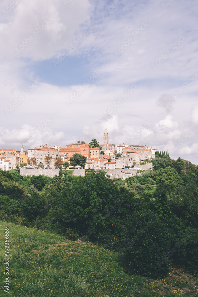 view of the town of labin, panorama