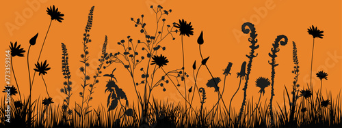 Background with black silhouettes of meadow wild grasses and wildflowers. Floral background. Nature decor element for banners, advertising, leaflet, cards, invitation, congratulation and so on.