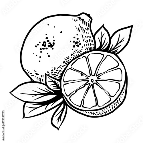 Lemon_Lime_Slice_Citrus_Leaf