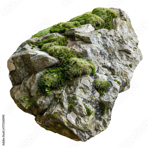Nature mossy rock isolated on transparent background