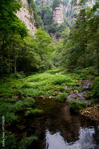 Zhangjiajie  China - September 29 2015  Geological wonders and natural rock pillars in Zhangjiajie National Park in Hunan China