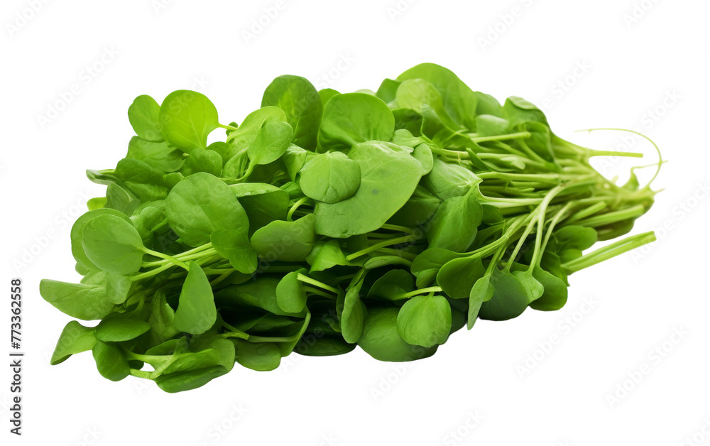 A cluster of vibrant green sprouts arranged on a pristine white backdrop