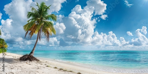 Palm tree and white sand against the background of the azure ocean Generative AI