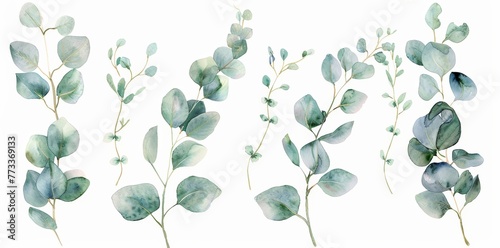 Numerous green leaves are arranged closely together on a clean white background