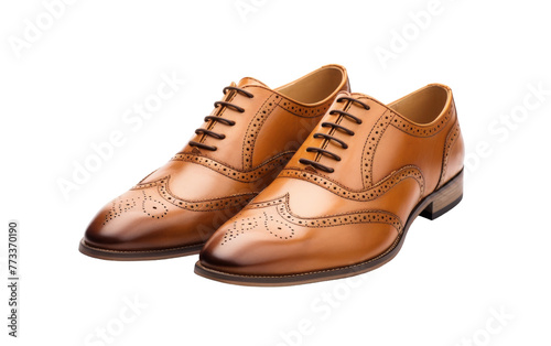 A pair of brown shoes placed elegantly on a white background
