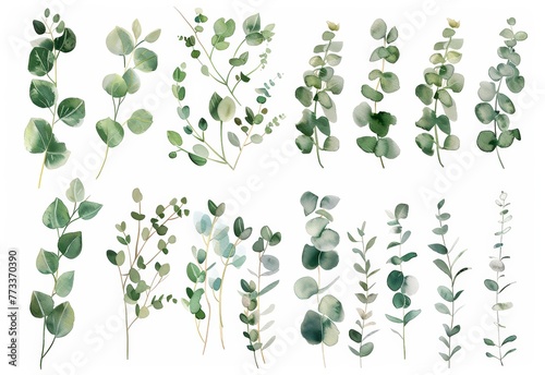 Several green leaves grouped together on a clean white surface, creating a striking contrast between the vibrant leaves and the neutral background