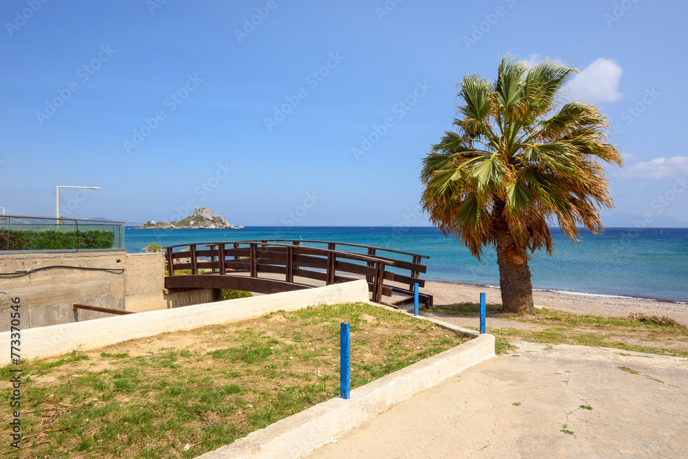Palm tree growing on the Kefalos beach. Kos island, Greece Palm tree growing on the Kefalos beach. Kos island, Greece