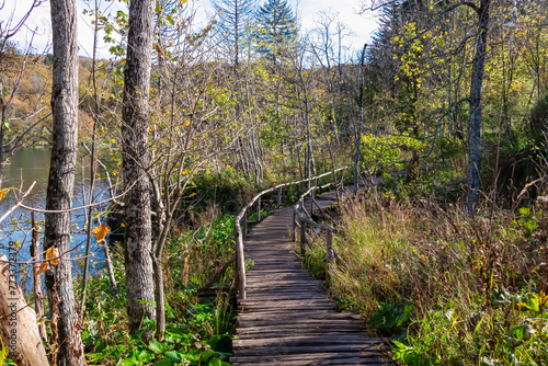 Enchanting hiking trail on rustical wooden footpath in magical Plitvice lakes National Park, Karlovac, Croatia, Europe. Walking through idyllic forest in serene beauty of natural remote landscape