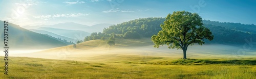 Beautiful spring and summer natural panoramic pastoral landscape with blooming field