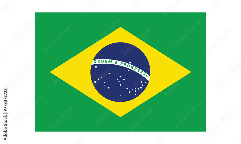 Obraz premium brazil flag