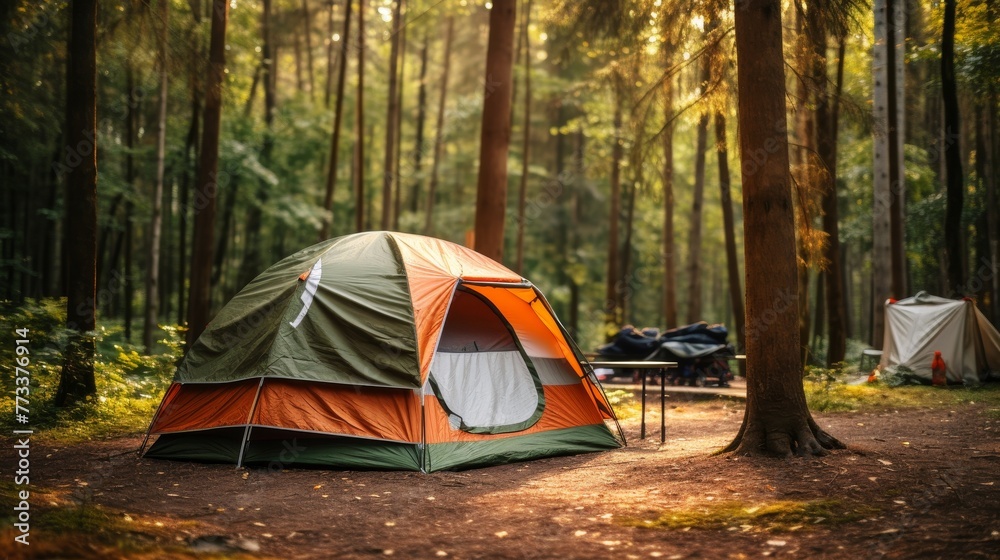 Tourist tent in forest camp