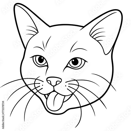 Fototapeta Naklejka Na Ścianę i Meble -  the-face-of-a-licking-cat-on-a-white-background 