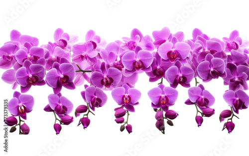 A cluster of vibrant purple flowers resting delicately on a pristine white surface