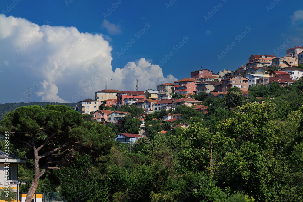 Obraz premium Beautiful houses and city streets of the southern city with green plants, public place in Turkey, on a summer sunny day