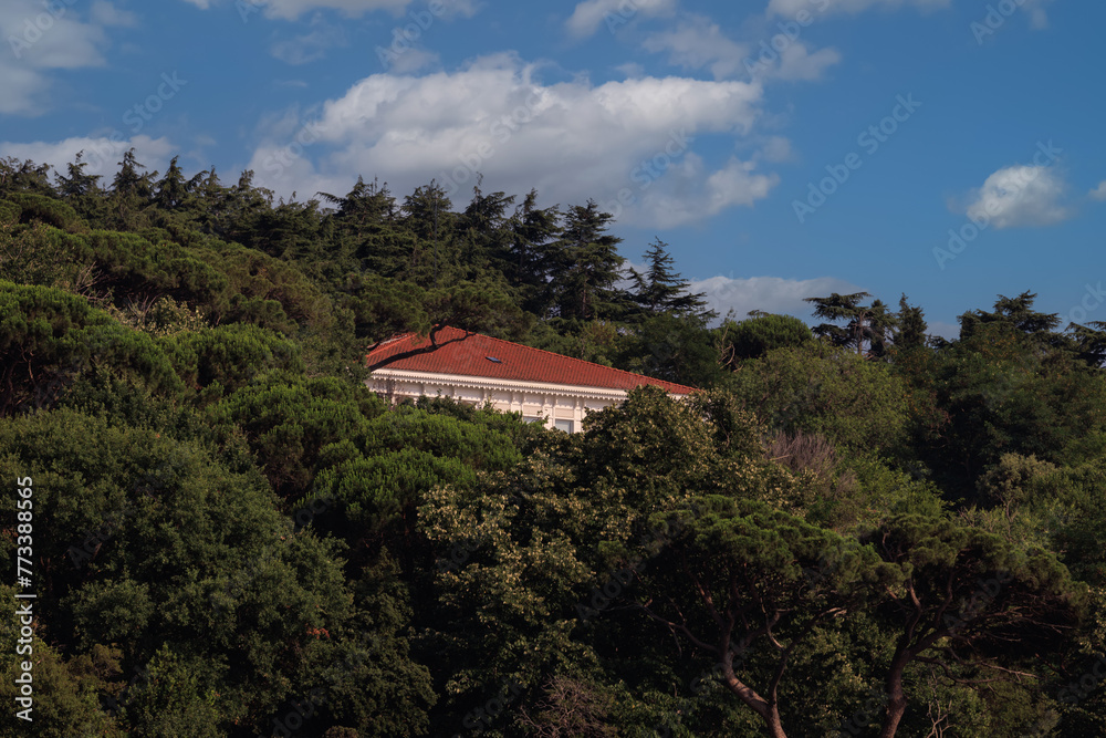 Beautiful houses and city streets, public place in Istanbul, on a summer sunny day Beautiful houses and city streets, public place in Istanbul, on a summer sunny day