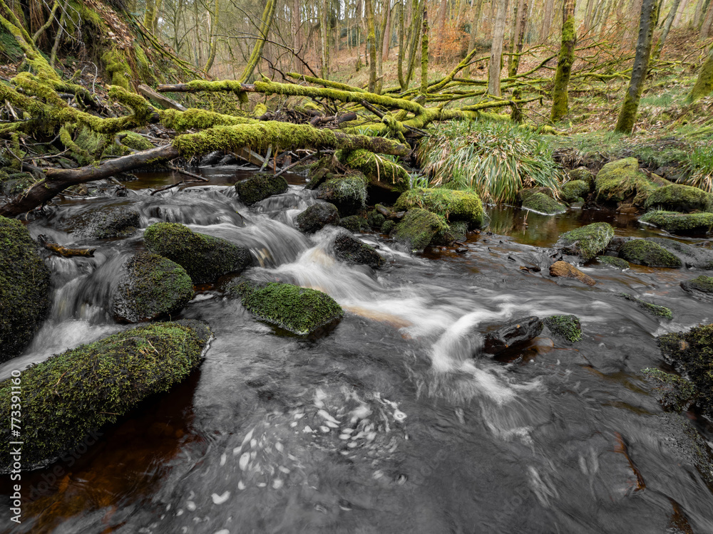 Fototapeta premium Mountain river in England, dreamy scenery, moss-covered stones and beautiful waterfall in the forest. Sunny creek in spring cloudy Yorkshire evening. small cascade surrounded by moss and autumn leaves