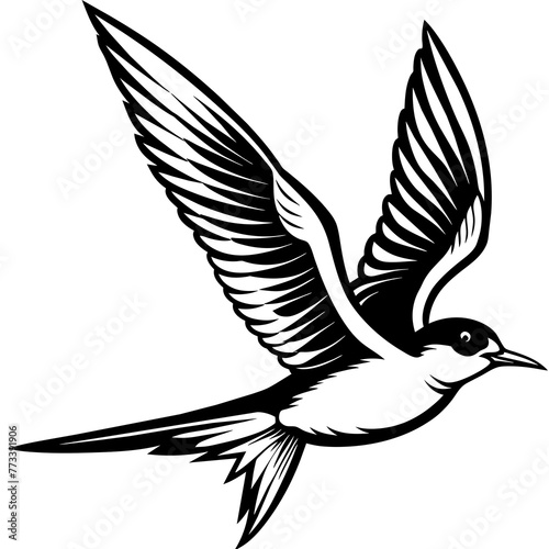 tern fly silhouette vector art illustration