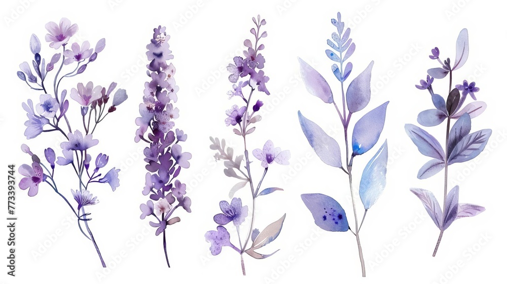 Fototapeta premium Delicate watercolor arrangements with lavender flowers, wildflowers, leaves and branches, botanical wallpaper