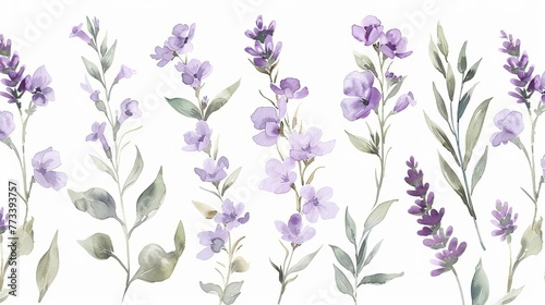 Delicate watercolor arrangements with lavender flowers, wildflowers, leaves and branches, botanical wallpaper