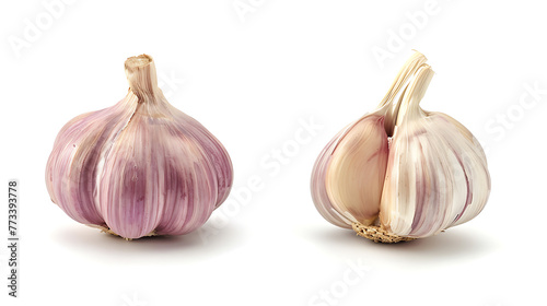 Garlic isolated on a white background. 