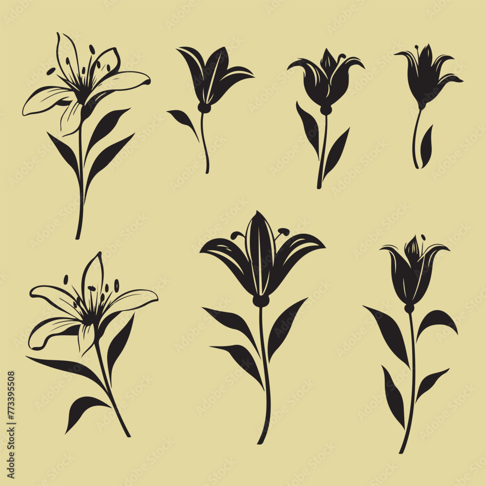 Lily flower silhouette set clipart Lily flower silhouette set clipart
