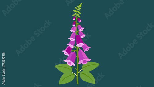 Canvastavla Exquisite Foxglove Flower Vector Illustrations Elevate Your Design with Stunning