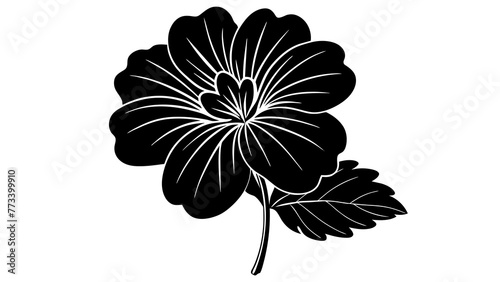 Vibrant Geranium Flower Vector Graphics Blossoming Beauty for Your Designs