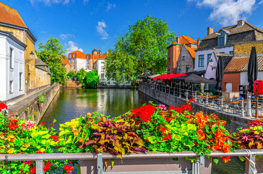 Naklejka premium Metal fence with flowers pots, Groenerei Green Canal with trees and plants, promenade embankment in Brugge old town district, medieval houses in Bruges city historical center, Flemish Region, Belgium