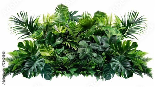 Lush tropical jungle foliage arrangement isolated on white  nature backdrop for product showcase or design element