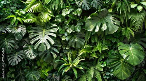 Lush Green Wall of Soft Leaves and Large Houseplants, Nature Background