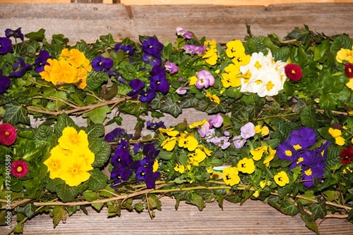 dekoratives Blumenarrangement für den Frühling